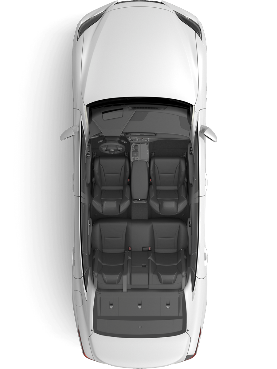 LS Interior