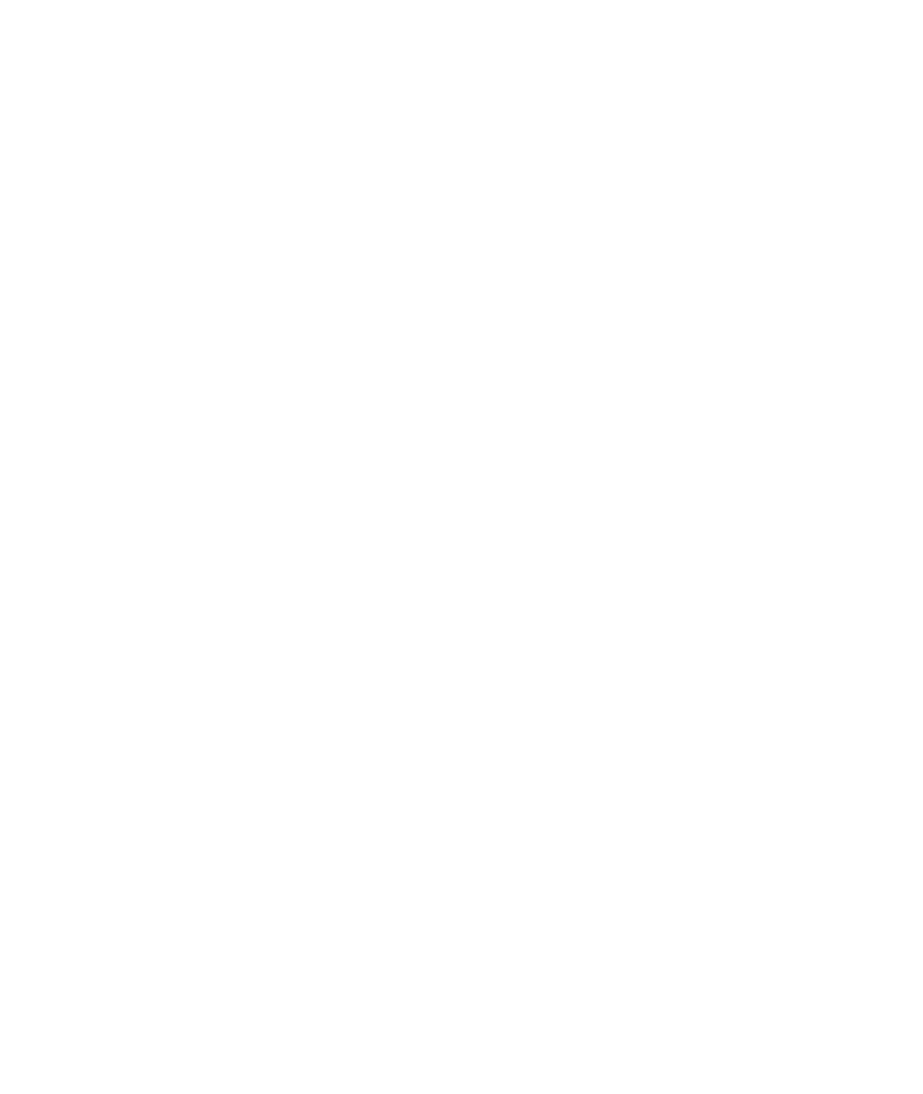 NX Soundwaves C