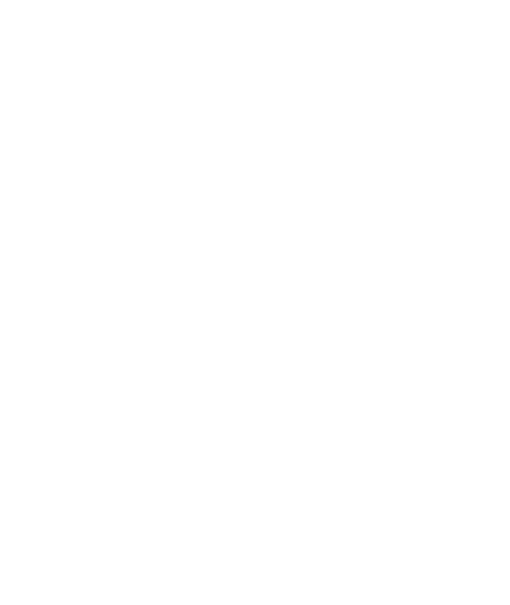 NX Soundwaves F