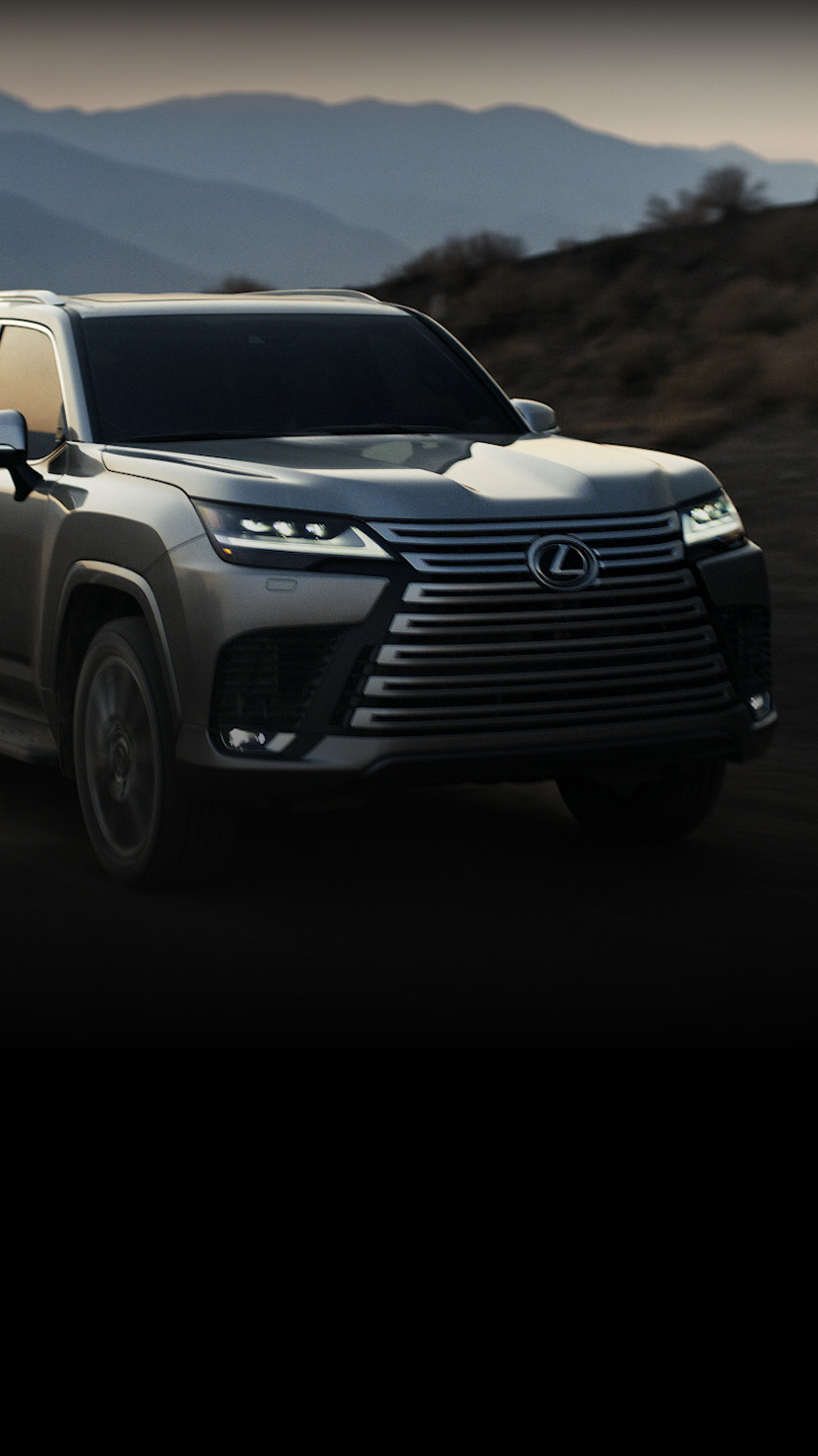 lx visual